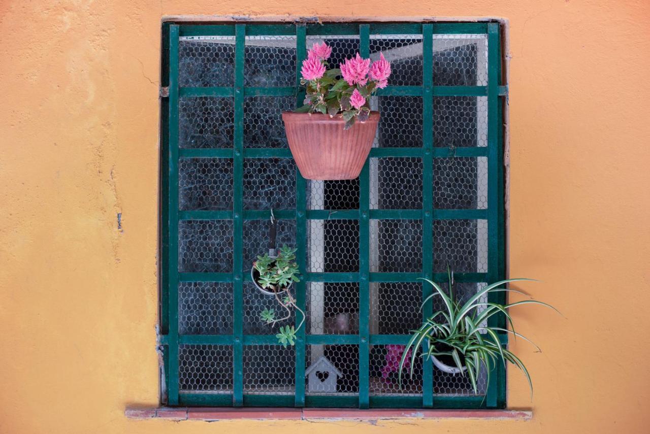 Un'oasi al Mare Apartment Moneglia Exterior foto
